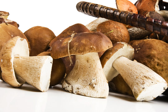 Basket with edible mushrooms. Boletus edulis.