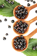 Fresh black in wooden spoons on white background close-up