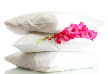 Fototapeta na wymiar poduszki i kwiaty, samodzielnie na białym tle