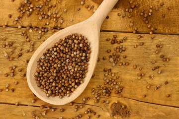 Heap coriander seeds in wooden spoon