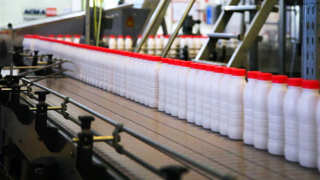 bottles yogurt with red caps move wide conveyor belt at factory