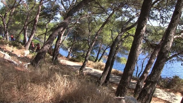 paysage du sud