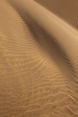 Desert sand dunes in Maspalomas Gran Canaria