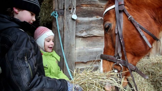 Two kids boy and girl feed horse