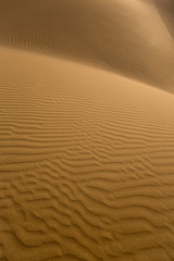 Desert sand dunes in Maspalomas Gran Canaria