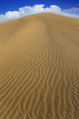 Fototapeta na wymiar Desert sand dunes in Maspalomas Gran Canaria