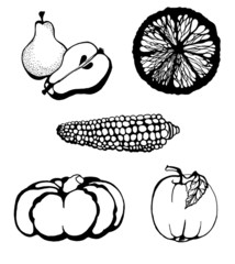 Fruit and Vegetables Set hand-painted, isolated on white