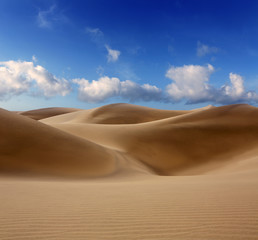 Fototapeta na wymiar Desert dunes sand in Maspalomas Gran Canaria