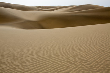 Desert dunes sand in Maspalomas Gran Canaria