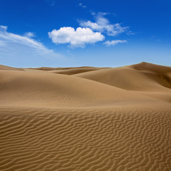 Fototapeta na wymiar Desert Sand Dune w Maspalomas Gran Canaria