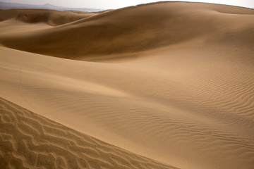 Desert dunes sand in Maspalomas Gran Canaria