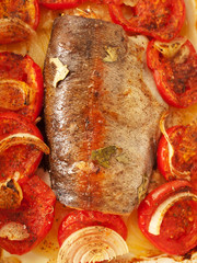 baked  trout with tomatoes and onion for Mediterranean recipe