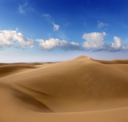 Fototapeta na wymiar Pustynia wydmy w Maspalomas Gran Canarii
