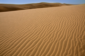 Desert dunes sand in Maspalomas Gran Canaria