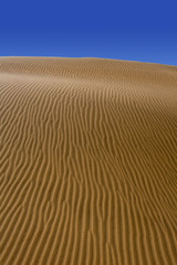 Desert dunes sand in Maspalomas Gran Canaria