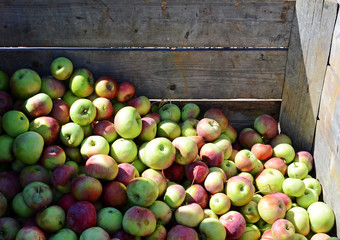 Apple Crate