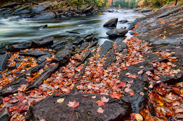 Autumn Leaves on Unique Rocks Beside River