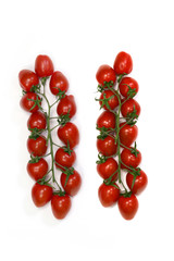 Tomatoes on the vine