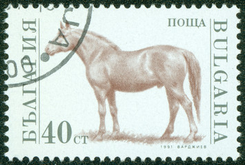 stamp printed in Bulgaria shows horse