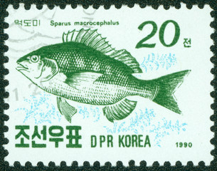 stamp printed in DPR Korea shows black sea bream fish