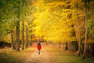 In autumn park