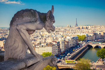 Chimera on Notre Dame Cathedral