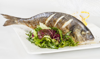 Dorada fish with salad on the white plate. Studio shot