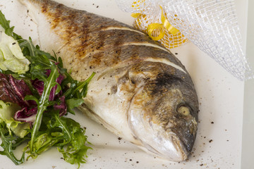 Dorada fish with salad on the white plate. Studio shot