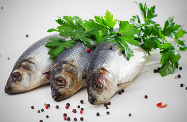 Herring