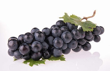 grape isolated