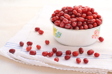 Red cornel in old-styled metal bowl  placed on towel