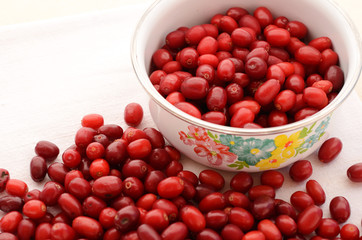 Red cornel in old-styled metal bowl