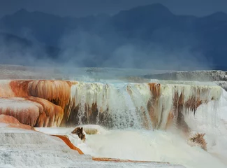 Zelfklevend Fotobehang Natuurpark Mammoth Hot Springs