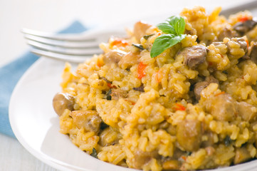 Risotto with mushroom on plate