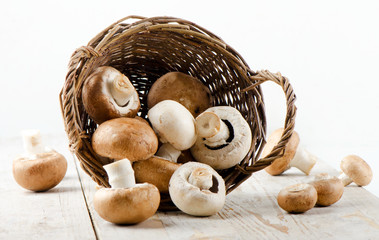 Champignon mushroom