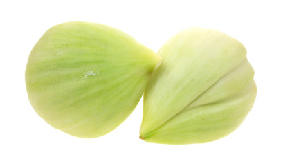 Two elephant garlic cloves