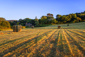 hay bales