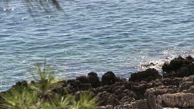 au bord de l'eau