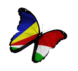 Seychellois flag butterfly flying, isolated on white background