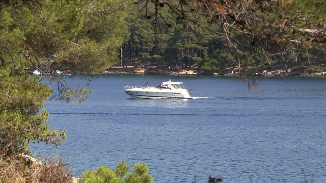 crique &agrave; l &icirc;le aux dauphuns