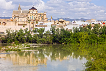 Fototapeta na wymiar Mezquita Cathedral by the River in Cordoba