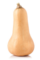 elongated whole pumpkin