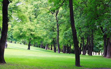 Park