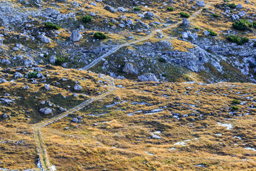 Hiking path in the mountains