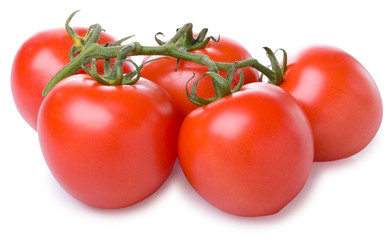 ripe tomato on a branch