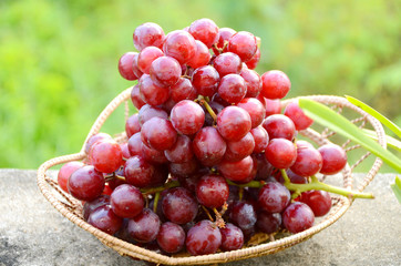 Red seedless grape.