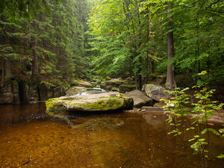 górski potok © petroos