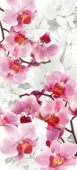 Naklejki  Kwitnące Orchidee i Dekoracja Wiśni