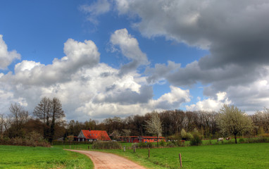 Fototapeta na wymiar Dutch farm