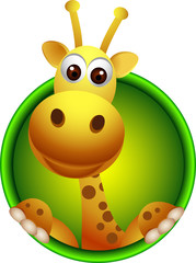 Naklejka premium cute giraffe head cartoon